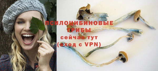 а пвп мука Верея