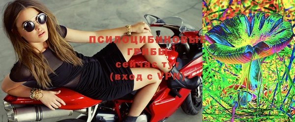 шишки Верхнеуральск