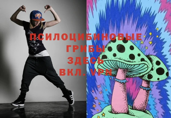 шишки Верхнеуральск