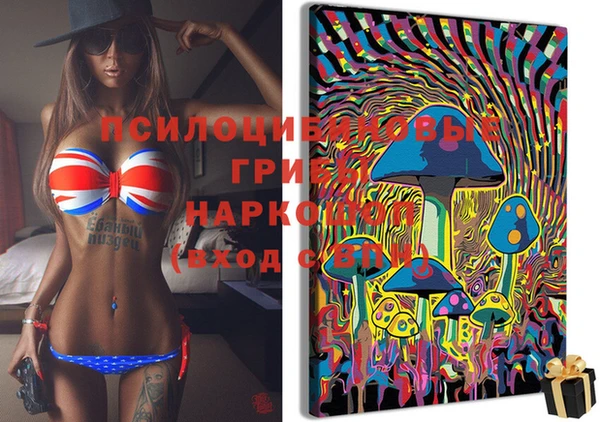 шишки Верхнеуральск