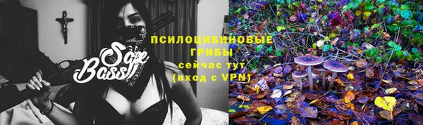 а пвп мука Верея