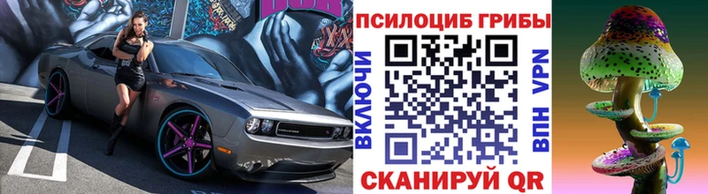 Псилоцибиновые грибы GOLDEN TEACHER  ОМГ ОМГ зеркало  Оренбург  купить наркотики сайты 